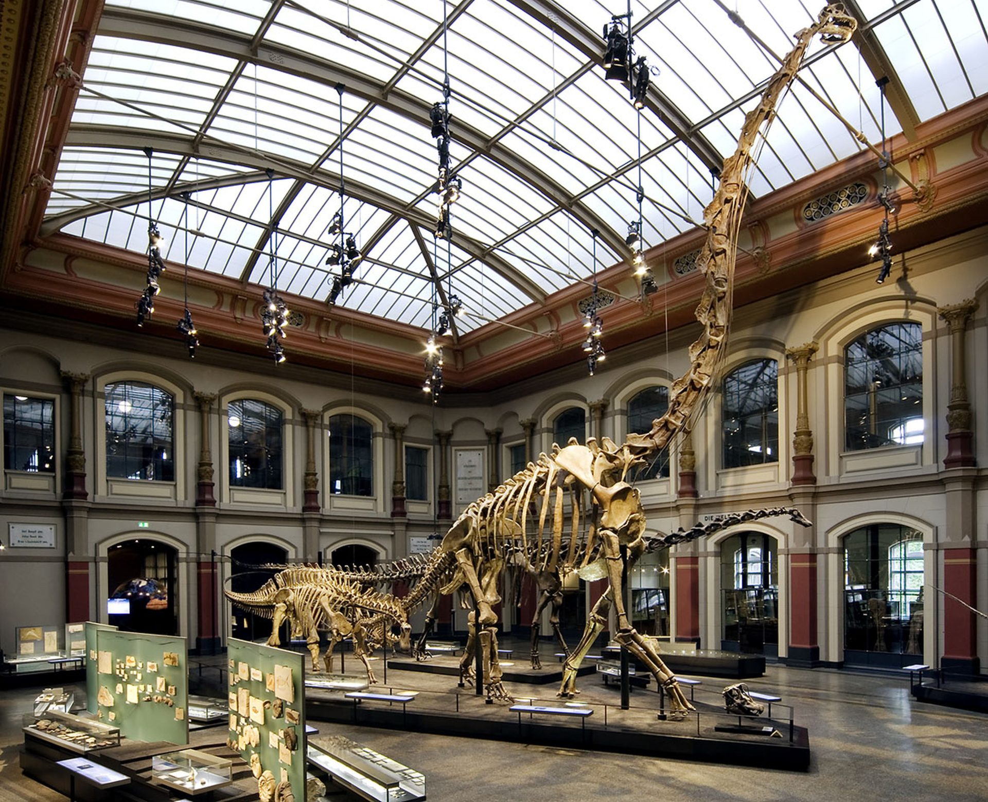 Museum für Naturkunde Berlin Jugendkulturkarte Berlin
